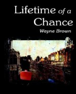 Lifetime of a Chance - Wayne Brown