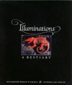 Illuminations: A Bestiary - Rosamond Wolff Purcell, Stephen Jay Gould