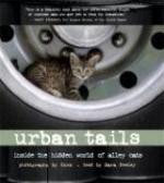 Urban Tails: Inside the Hidden World of Alley Cats - Paul L. Knox, Sarah Neely