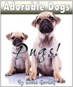 Adorable Dogs: Pugs (Hilarious!) - Scott Gordon, Viorel Sima