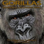 Gorillas: The Complete Guide for Beginners & Early Learning - Margaret Brown