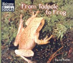 From Tadpole to Frog - Jan Kottke