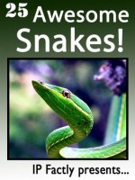 25 Awesome Snakes! Incredible Facts, Photos and Video Links to Some of the Most Incredible Animals on Earth (25 Amazing Animals Series) - IC Wildlife, IP Factly