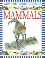 Mammals - Beatrice Macleod, Ivan Stalio