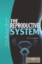 The Reproductive System - Kara Rogers