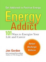 Energy Addict: 101 Physical, Mental, and Spiritual Ways to Energize Your Life - Jon Gordon