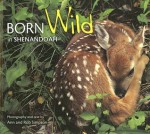 Born Wild in Shenandoah - Ann Simpson, Rob Simpson