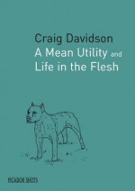 Picador Shots A Mean Utility (Picador Shots) - Craig Davidson