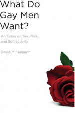 What Do Gay Men Want?: An Essay on Sex, Risk, and Subjectivity - David M. Halperin