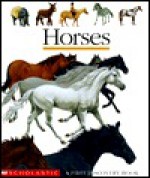 Horses - Henri Galeron, Gallimard Jeunesse