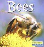 Bees - Deirdre A. Prischmann