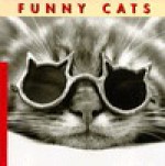 Funny Cats - Jean-Claude Suarès