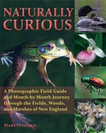 Naturally Curious: A Photographic Field Guide and Month-By-Month Journey Through the Fields, Woods, and Marshes of New England - Mary Holland