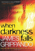 When Darkness Falls - James Grippando
