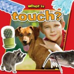 What Is Touch? - Paula Smith