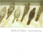 Birds of Tokyo - Nicole Steinberg