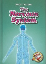 The Nervous System - Kay Manolis