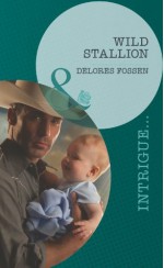 Wild Stallion (Mills & Boon Intrigue) - Delores Fossen