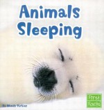 Animals Sleeping - Wendy Perkins