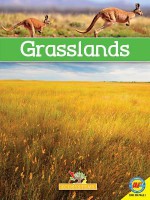 Grasslands with Code - Lily Erlic