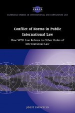 Conflict of Norms in Public International Law: How WTO Law Relates to Other Rules of International Law - Joost Pauwelyn