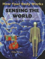 Sensing the World - Philip Morgan