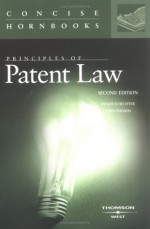 Principles Of Patent Law (Hornbook Series) - Roger E. Schechter, John R. Thomas