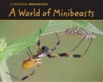 World of Minibeasts - Charlotte Guillain