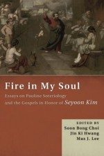 Fire in My Soul: Essays on Pauline Soteriology and the Gospels in Honor of Seyoon Kim - Soon Bong Choi, Jin Ki Hwang, Max J. Lee, Won Lee