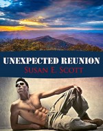 Unexpected Reunion - Susan E. Scott