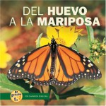 Del Huevo a La Mariposa/from Egg to Butterfly (De Principio a Fin/Start to Finish) (Spanish Edition) - Shannon Knudsen