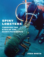 Spiny Lobsters: Through the Eyes of the Giant Packhorse - John Booth