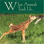 What Animals Teach Us: Life's Lessons Learned from the Animals Around Us - Willow Creek Press, Lisa Husar