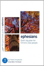 Ephesians: God's Big Plan for Christ's New People - Thabiti M. Anyabwile