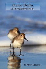 Better Birds: A Photographers Guide - Steve Dimock, Susan Dimock