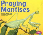 Praying Mantises (Pebble Plus: Bugs, Bugs, Bugs) - Margaret C. Hall