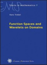 Function Spaces And Wavelets On Domains (Ems Tracts In Mathematics) - Hans Triebel