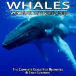 Whales: The Complete Guide For Beginners & Early Learning (Wonderful Discoveries Series) - Shannon Hale, Wonderful World Press