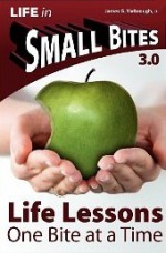 Small Bites: Life Lessons - 3.0: One Bite at a Time - James G. Yarbrough Jr., Wise Sages