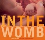 In the Womb: Witness the Journey from Conception to Birth through Astonishing 3D Images - Peter Tallack, Toby MacDonald, Heidi Murkoff