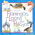 Flamingos, Loons and Pelicans - Mel Boring