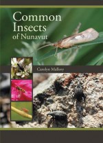 Common Insects of Nunavut - Carolyn Mallory