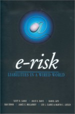 E Risk: Liabilities In A Wired World - Leo L. Clarke, Daniel Jaye