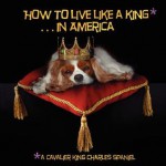 How to Live Like a King.in America - Grace, R. Boyle, Peter Boyle