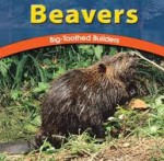 Beavers: Big-Toothed Builders - Jody Sullivan Rake