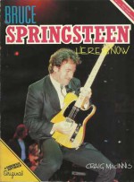 Bruce Springsteen Here & Now - Craig MacInnis