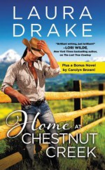 Home at Chestnut Creek: Two full books for the price of one - Laura Drake