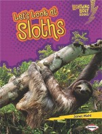 Let's Look at Sloths - Janet Piehl