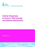 Cellular Responses to Arsenic: DNA Damage and Defense Mechanisms - X. Lee, M. Weinfeld, Jenny Lee