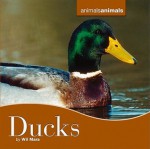 Ducks - Wil Mara